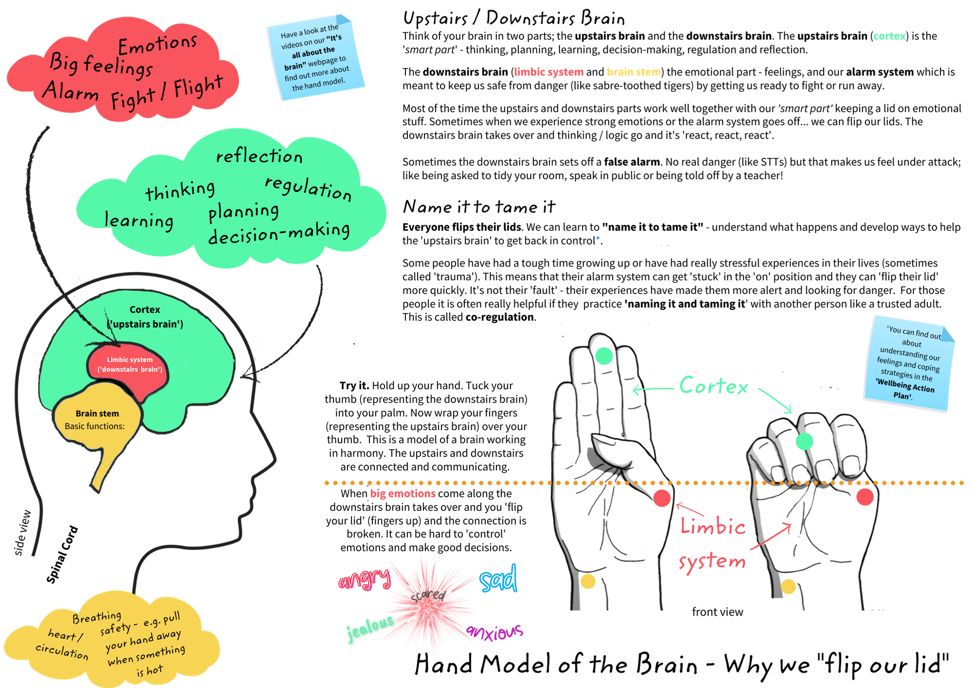 brain experiment hand